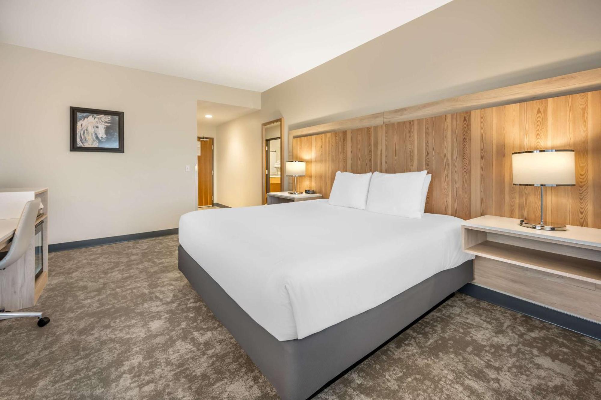 Hotel Radisson Airport