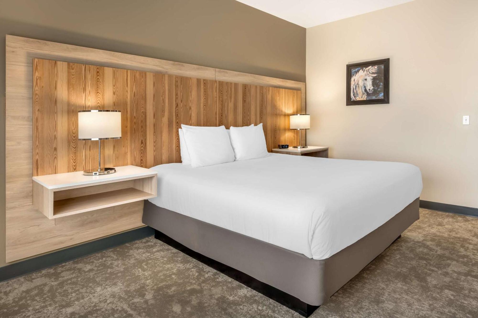 Radisson Airport 3*